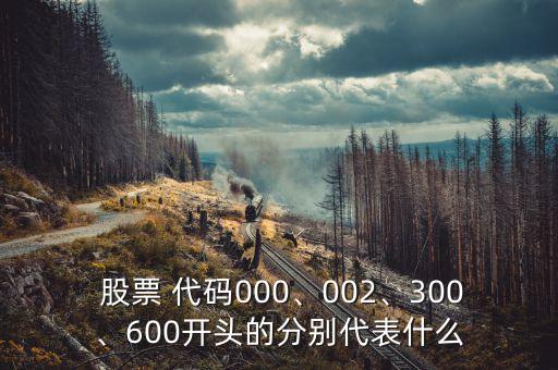  股票 代碼000、002、300、600開頭的分別代表什么