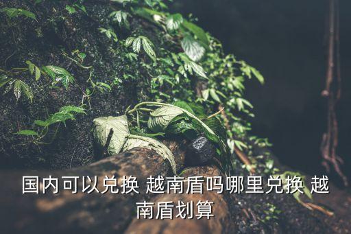 國內(nèi)可以兌換 越南盾嗎哪里兌換 越南盾劃算