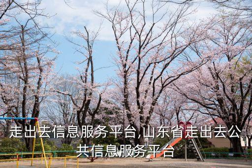 上海走出去信息服務(wù)平臺,山東省走出去公共信息服務(wù)平臺