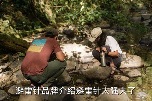 避雷針品牌介紹避雷針太強大了