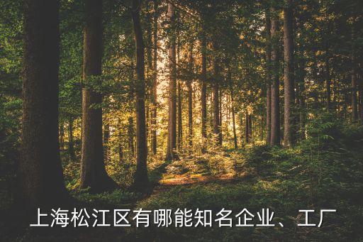 上海宏華文化創(chuàng)業(yè)投資有限責任公司