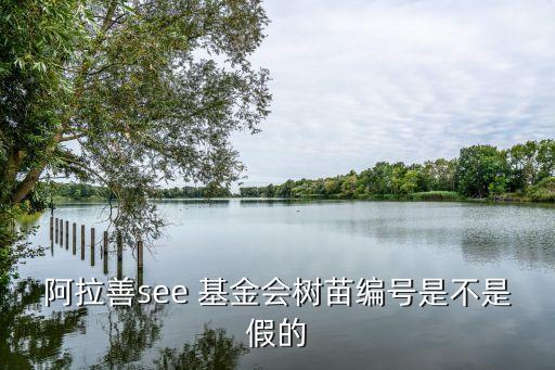 阿拉善see 基金會(huì)樹(shù)苗編號(hào)是不是假的