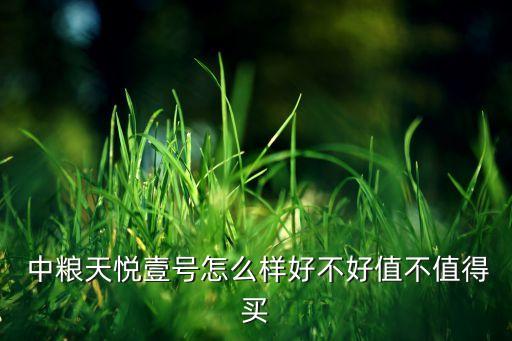  中糧天悅壹號(hào)怎么樣好不好值不值得買(mǎi)