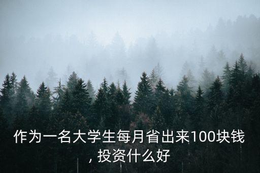 作為一名大學(xué)生每月省出來100塊錢, 投資什么好