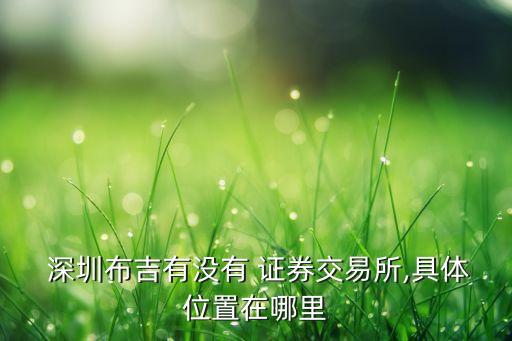 深圳龍崗證券公司,龍崗國泰君安證券公司地址