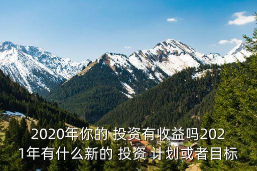 2020年你的 投資有收益嗎2021年有什么新的 投資 計劃或者目標