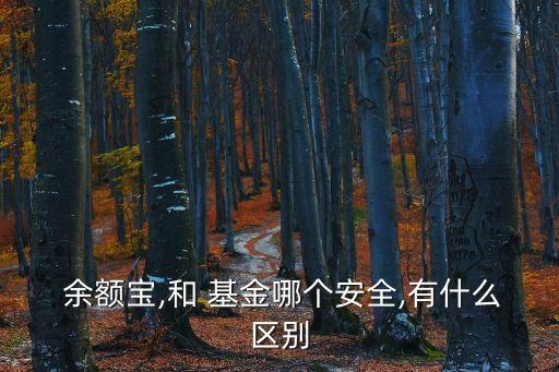  余額寶,和 基金哪個(gè)安全,有什么區(qū)別