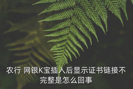 農(nóng)行 網(wǎng)銀K寶插入后顯示證書鏈接不完整是怎么回事