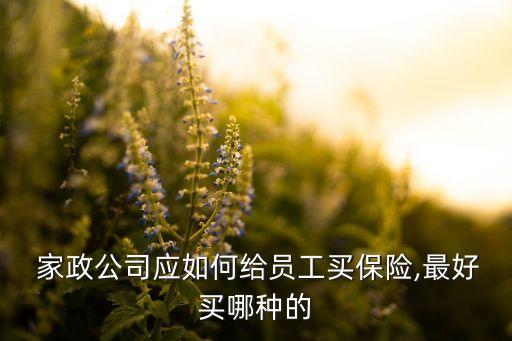  家政公司應(yīng)如何給員工買保險(xiǎn),最好買哪種的