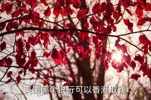 美國(guó)花旗銀行網(wǎng)點(diǎn),北京花旗銀行網(wǎng)點(diǎn)營(yíng)業(yè)時(shí)間