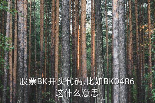 股票BK開頭代碼,比如BK0486這什么意思