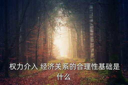  權(quán)力介入 經(jīng)濟(jì)關(guān)系的合理性基礎(chǔ)是什么