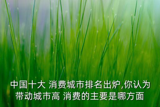 中國十大 消費城市排名出爐,你認(rèn)為帶動城市高 消費的主要是哪方面