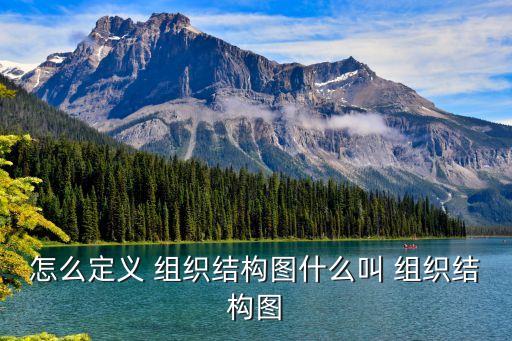 怎么定義 組織結(jié)構(gòu)圖什么叫 組織結(jié)構(gòu)圖