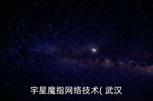 宇星魔指網(wǎng)絡技術( 武漢