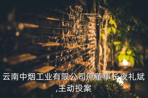 云南中煙工業(yè)有限公司原董事長夜禮斌,主動投案