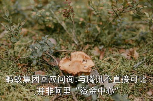 螞蟻集團回應(yīng)問詢:與騰訊不直接可比,并非阿里“資金中心”