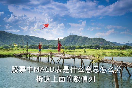  股票中MACD表是什么意思怎么分析這上面的數值列