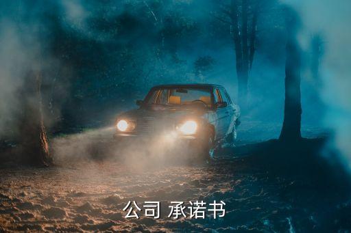 中國平安合規(guī)銷售承諾書