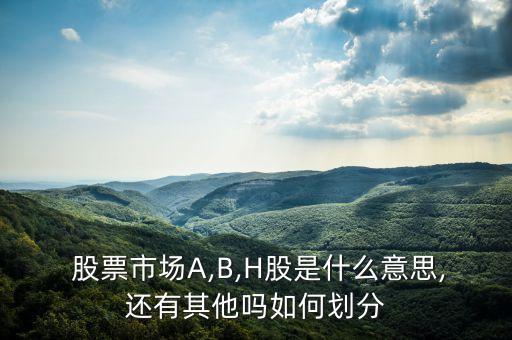 b轉a股票是什么意思,股票10轉1是什么意思