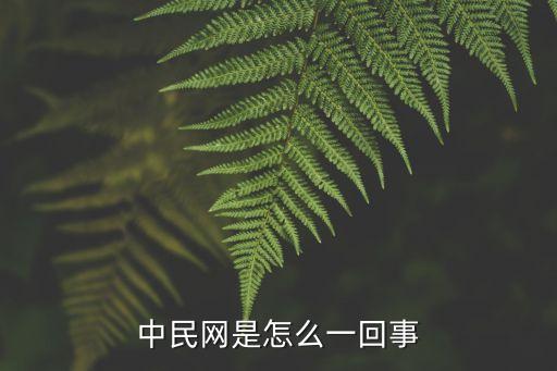 中民信集團是做什么,北京中民信房地產(chǎn)集團齊總