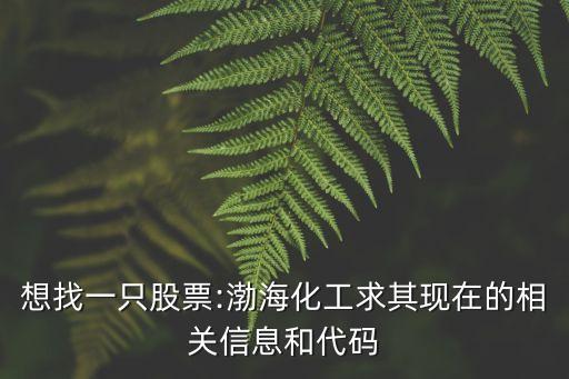 想找一只股票:渤海化工求其現(xiàn)在的相關(guān)信息和代碼