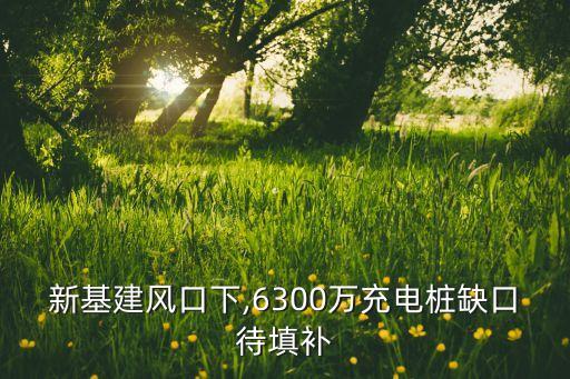 新基建風(fēng)口下,6300萬充電樁缺口待填補