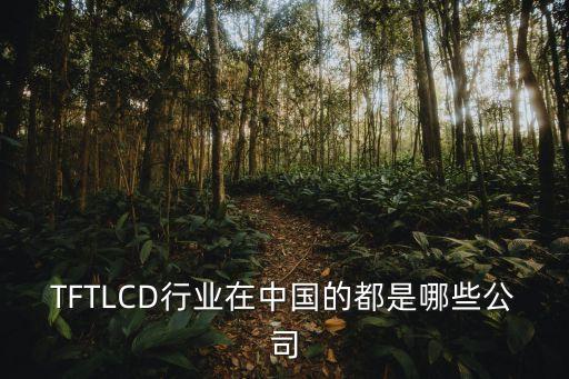 TFTLCD行業(yè)在中國的都是哪些公司