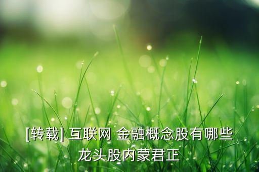 那些股票是互聯(lián)網(wǎng)金融,互聯(lián)網(wǎng)金融股票龍頭排名