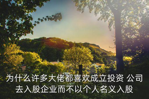 為什么許多大佬都喜歡成立投資 公司去入股企業(yè)而不以個(gè)人名義入股