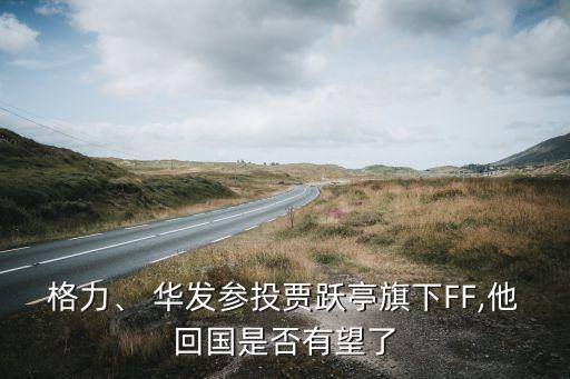 格力、 華發(fā)參投賈躍亭旗下FF,他回國(guó)是否有望了