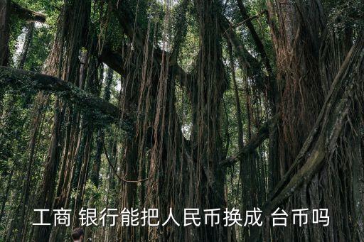 工商 銀行能把人民幣換成 臺(tái)幣嗎