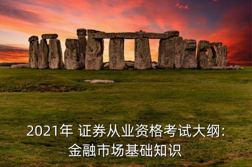 2021年 證券從業(yè)資格考試大綱:金融市場基礎知識