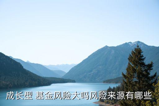 基金成長(zhǎng)性,成長(zhǎng)型思維