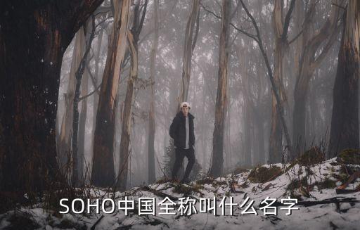 soho中國3q眾包