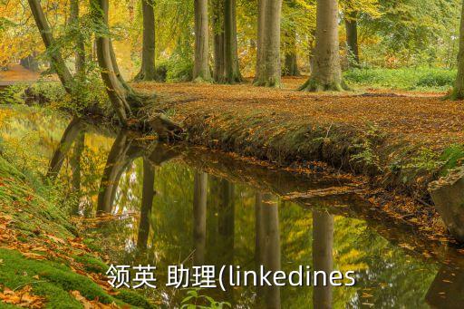 領(lǐng)英 助理(linkedines