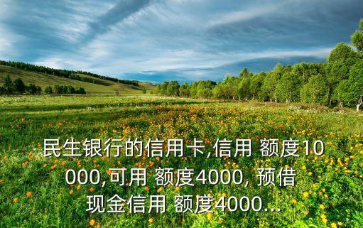  民生銀行的信用卡,信用 額度10000,可用 額度4000, 預(yù)借 現(xiàn)金信用 額度4000...