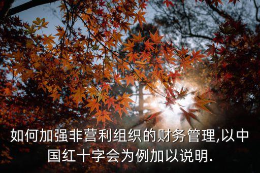 如何加強(qiáng)非營(yíng)利組織的財(cái)務(wù)管理,以中國(guó)紅十字會(huì)為例加以說明.