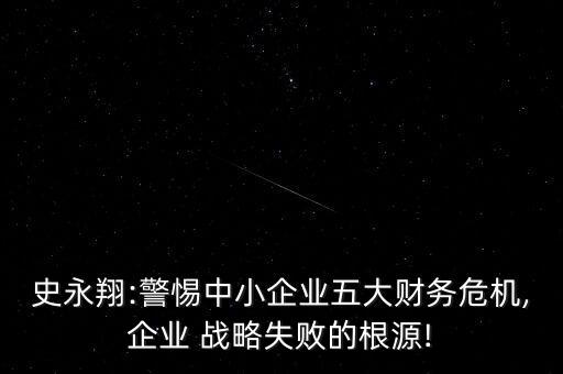 史永翔:警惕中小企業(yè)五大財(cái)務(wù)危機(jī),企業(yè) 戰(zhàn)略失敗的根源!