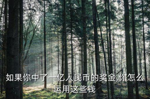 如果你中了一億人民幣的獎(jiǎng)金,你怎么運(yùn)用這些錢