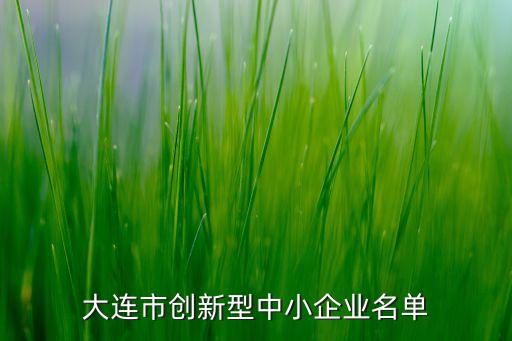 大連市創(chuàng)新型中小企業(yè)名單