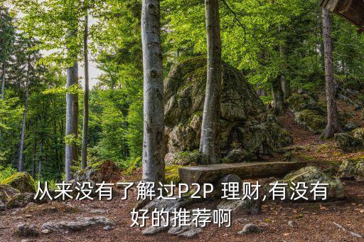 從來(lái)沒有了解過P2P 理財(cái),有沒有好的推薦啊