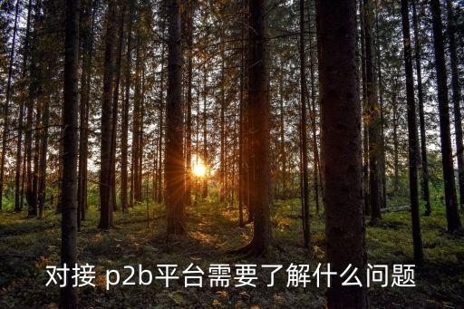 對接 p2b平臺(tái)需要了解什么問題