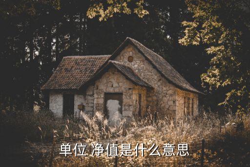 單位 凈值是什么意思