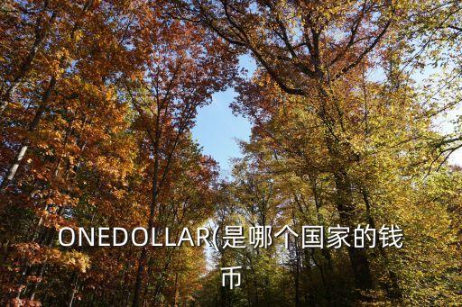 ONEDOLLAR(是哪個國家的錢幣