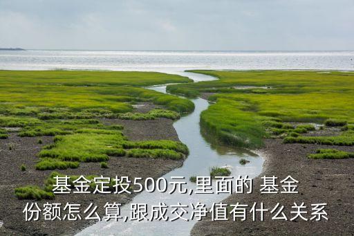  基金定投500元,里面的 基金 份額怎么算,跟成交凈值有什么關系