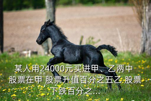 某人用24000元買進(jìn)甲、乙兩中 股票在甲 股票升值百分之五乙 股票下跌百分之...