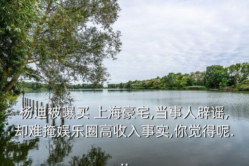 楊迪被曝買 上海豪宅,當(dāng)事人辟謠,卻難掩娛樂(lè)圈高收入事實(shí),你覺得呢...