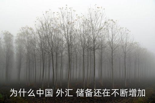 為什么中國 外匯 儲備還在不斷增加