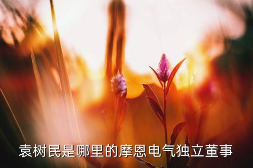 袁樹民是哪里的摩恩電氣獨立董事